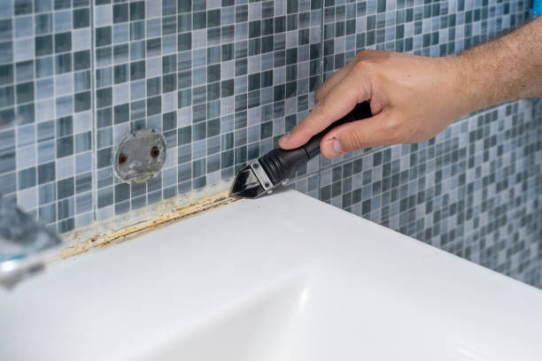 Best Bathroom Mold Remediation in Shenandoah, TX